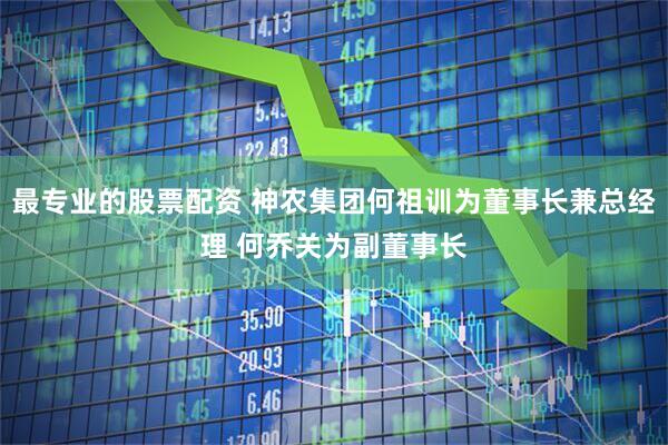 最专业的股票配资 神农集团何祖训为董事长兼总经理 何乔关为副董事长