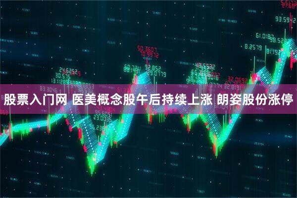 股票入门网 医美概念股午后持续上涨 朗姿股份涨停