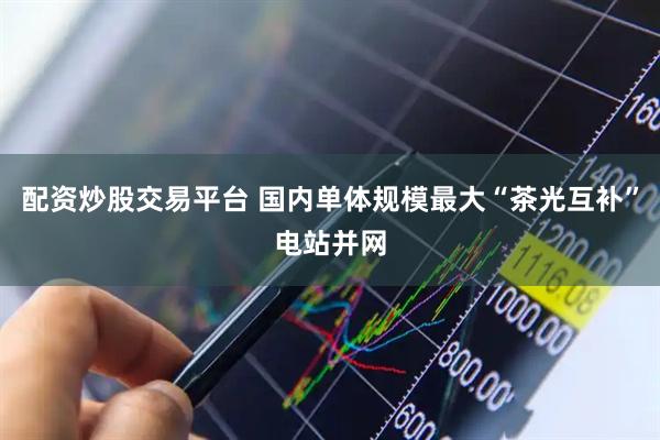 配资炒股交易平台 国内单体规模最大“茶光互补”电站并网